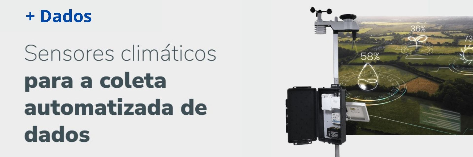 Slide 5 - dados-1.jpg